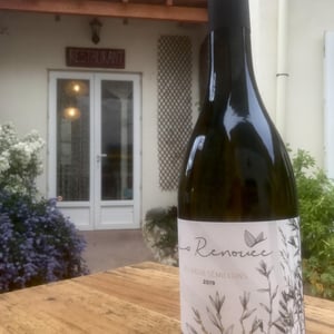 Les Vieux Sémillons - Domaine de la Renouée - guillaume-dussans -2019