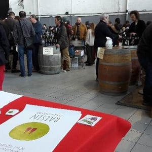 Les vignerons de l'irréel - 