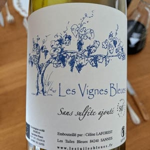 Les Vignes Bleues - Les Tuiles Bleues - Céline Laforest 