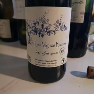 Les Vignes Bleues - Les Tuiles Bleues - Céline Laforest 
