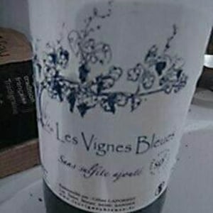Les Vignes Bleues - Les Tuiles Bleues - Céline Laforest 