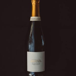 Les Vignes de Montgueux - Champagne Jacques Lassaigne - Emmanuel Lassaigne 