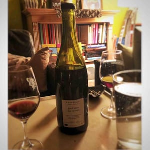 Les Vignes des Enfants - Anders Frederik Steen & Anne Bruun Blauert - anders-frederik-steen-anne-bruun-blauert