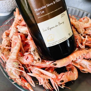 Les Vignes du Bourg - Domaine Julien Braud - julien-braud