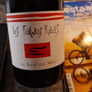 Les Foulards Rouges - Jean-Francois Nicq - Les Vilains