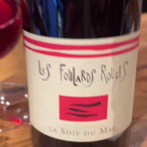 Les Vilains - Les Foulards Rouges - jean-francois-nicq