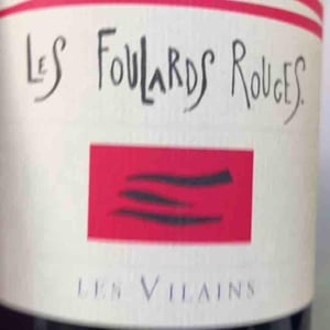 Les Foulards Rouges - Jean-Francois Nicq - Les Vilains