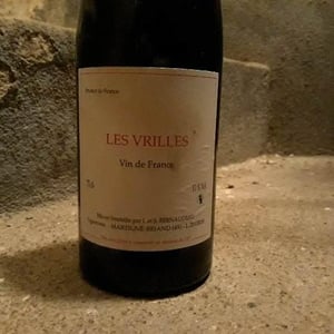 Les Vrilles - Stéphane Bernaudeau - Stéphane Bernaudeau 