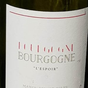 L'Espoir - Domaine Renaud Boyer - Renaud Boyer 