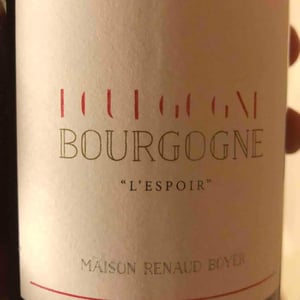 L'Espoir - Domaine Renaud Boyer - Renaud Boyer 