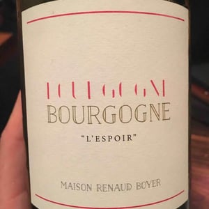 L'Espoir - Domaine Renaud Boyer - Renaud Boyer 