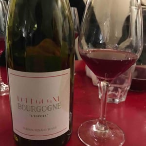 L'Espoir - Domaine Renaud Boyer - Renaud Boyer 