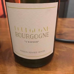 Domaine Renaud Boyer - Renaud Boyer - L'Espoir