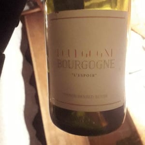 L'Espoir - Domaine Renaud Boyer - renaud-boyer