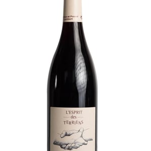 L'esprit des Terriens - Domaine Lambert - beatrice-pascal-lambert -2015