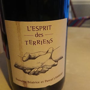 L'esprit des Terriens - Domaine Lambert - Béatrice & Pascal Lambert -2015