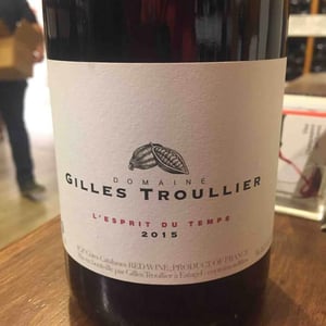 L’esprit Du Temps - Gilles Troullier - gilles-troullier