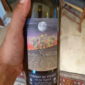 L'esprit Du Vivant 2015