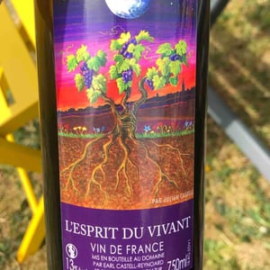 L'esprit Du Vivant