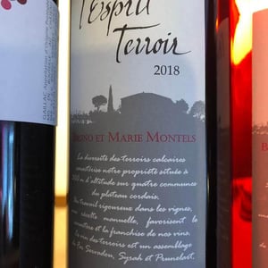 L'esprit terroir - Bruno & Marie Montels - Bruno & Marie Montels -2020