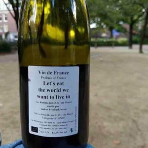 Let's Eat the World We Want to Live In - Anders Frederik Steen & Anne Bruun Blauert - Anders Frederik Steen & Anne Bruun Blauert