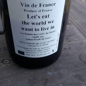 Let´s eat the world we want to live in - Anders Frederik Steen & Anne Bruun Blauert - anders-frederik-steen-anne-bruun-blauert