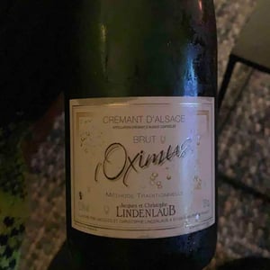 Oximus - Domaine Lindenlaub - christophe-lindenlaub