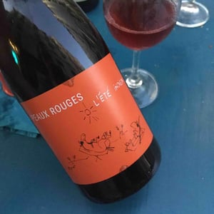 L’été indien - Peaux Rouges - Jean-Guillaume Caplain 