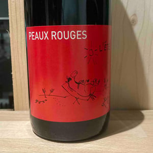 L’été indien - Peaux Rouges - Jean-Guillaume Caplain 