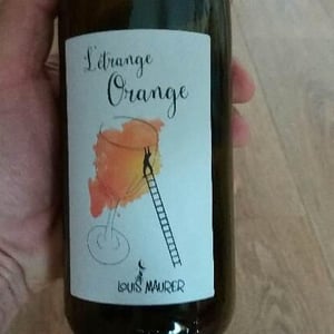 Louis Maurer - Louis Maurer - L’Etrange Orange