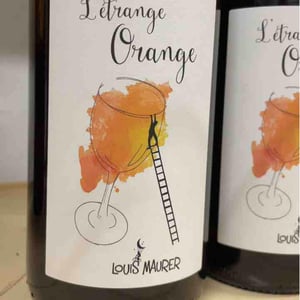 L’Etrange Orange - Louis Maurer - louis-maurer
