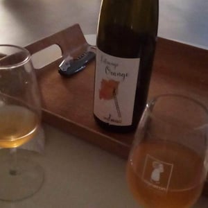 L’Etrange Orange - Louis Maurer - louis-maurer