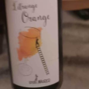 Louis Maurer - Louis Maurer - L’Etrange Orange