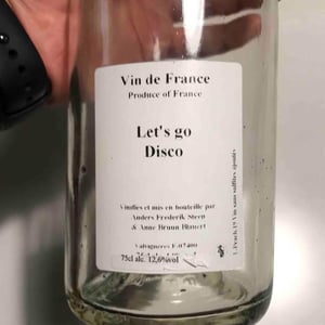 Let's go Disco - Anders Frederik Steen & Anne Bruun Blauert - Anders Frederik Steen & Anne Bruun Blauert 