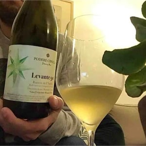 Levante 90 - Podere Cipolla - denny-bini
