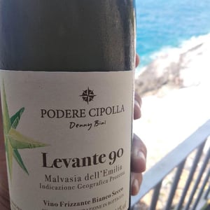 Podere Cipolla - Denny Bini - Levante 90