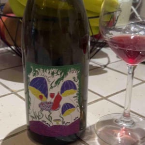 Levitas - Domaine de Botheland - Rémi Dufaitre & Laurence Liatard 