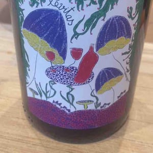 Levitas - Domaine de Botheland - remi-dufaitre-laurence-liatard