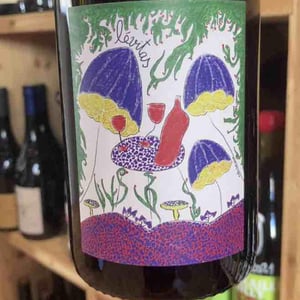 Levitas - Domaine de Botheland - Rémi Dufaitre & Laurence Liatard 