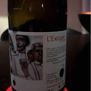Domaine de l'Alezan - Remi & Patricia Bonneton - L’Excuse