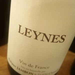 Leynes - Philippe Jambon - Catherine & Philippe Jambon 