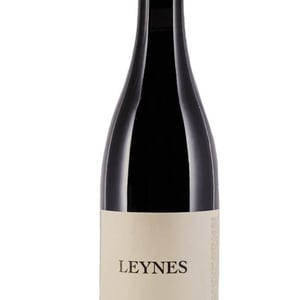 Leynes - Philippe Jambon - catherine-philippe-jambon