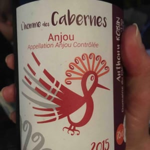 L'Homme Des Cabernes - Domaine du Clos Fremur - Anthony Robin 