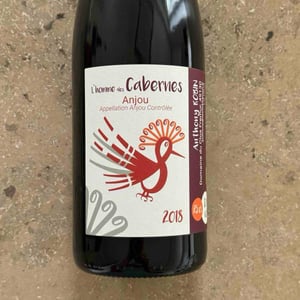 L'Homme Des Cabernes - Domaine du Clos Fremur - Anthony Robin 