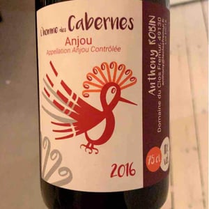 L'Homme Des Cabernes - Domaine du Clos Fremur - Anthony Robin 