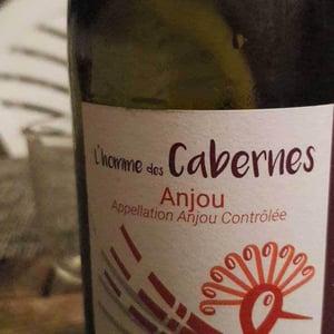 L'Homme Des Cabernes - Domaine du Clos Fremur - anthony-robin
