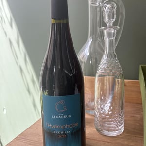 L’hydrophobe - Domaine Des Capréoles - Cédric & Catherine Lecareux -2022