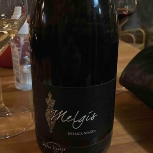 Melgais - Petrovaselo - petrovaselo -2019