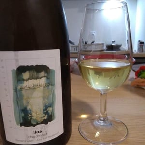Domaine Labet - Julien, Charline & Romain Labet - Les Juvéniles - Lias Chardonnay