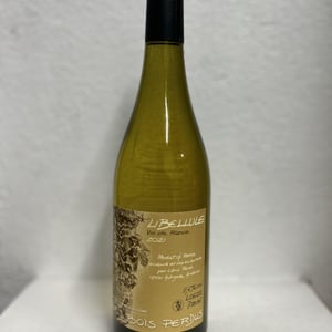 Libellule - Les Bois Perdus - lena-perdu-alexis-robin -2021
